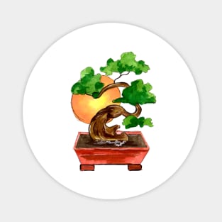 japanese bonsai tree and sun Magnet